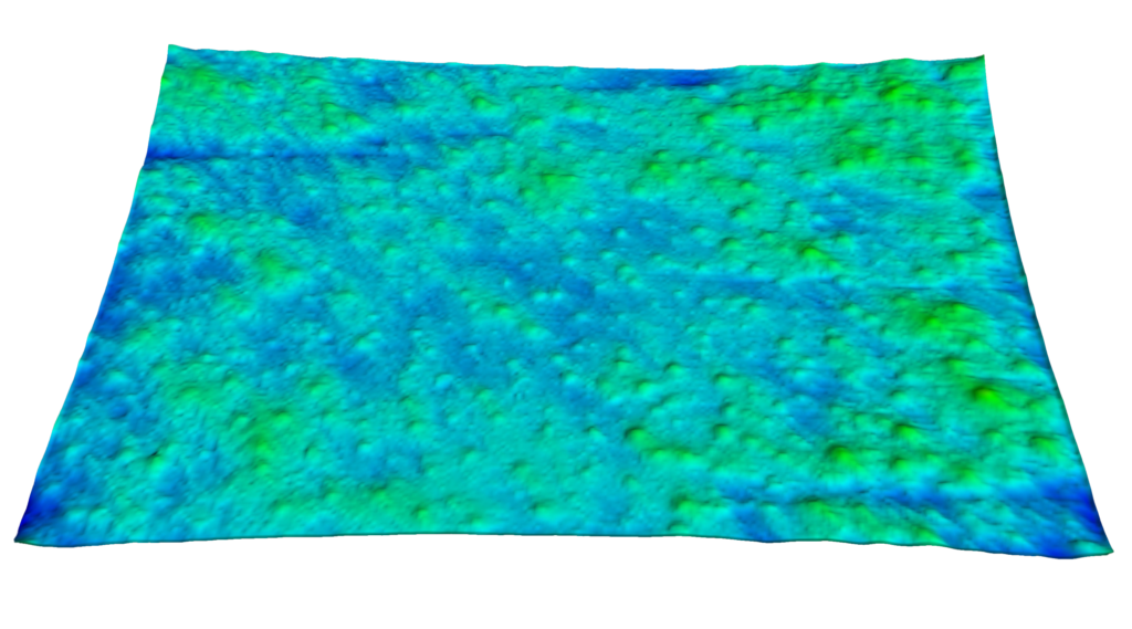 effet antioxydant - rugosité